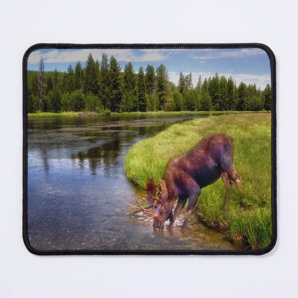 Item preview, Moose at the Madison River designed and sold by Kathy Weaver.