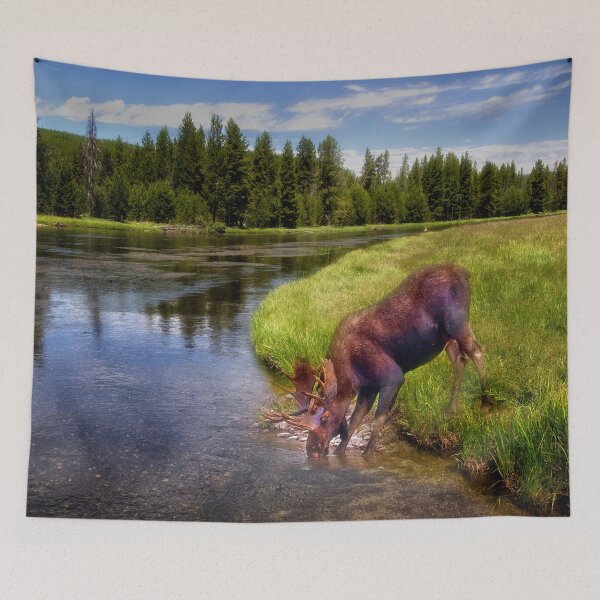 Item preview, Moose at the Madison River designed and sold by Kathy Weaver.