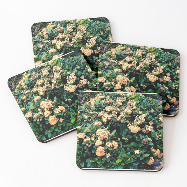 Item preview, Flowery Bush designed and sold by KazM.