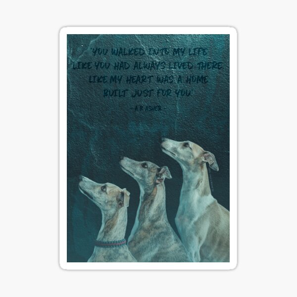 "Whippet Portrait And Quote, Whippet Artwork " Sticker by CooperandStan