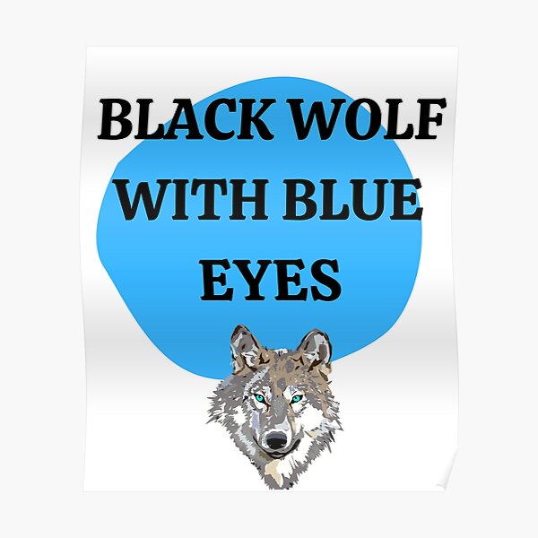 " Black Wolf With Blue Eyes" Poster for Sale by sibudas Redbubble