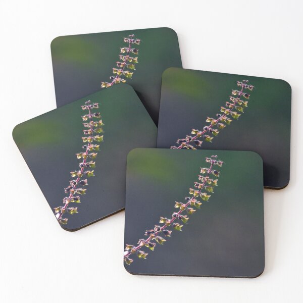 Item preview,  Basil seeds/pods designed and sold by VeenaNair23.