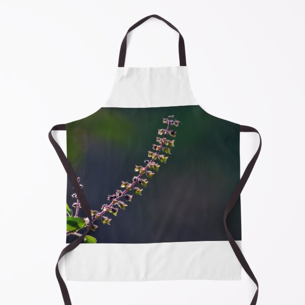 Item preview, Basil seeds/pods designed and sold by VeenaNair23.