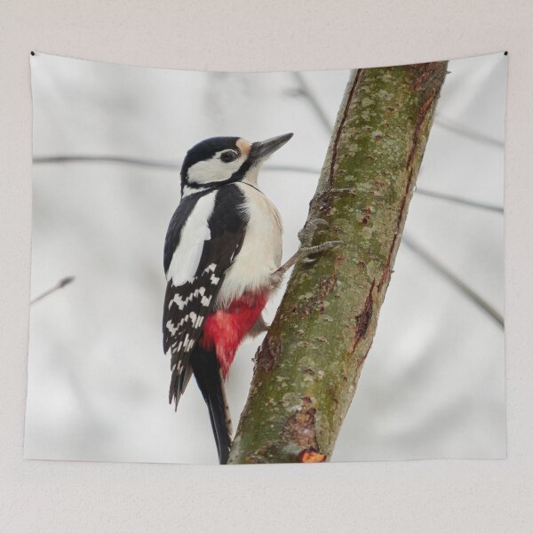 Item preview, That a bit unsure feeling. Great spotted woodpecker designed and sold by Jouko Lehto Photography.