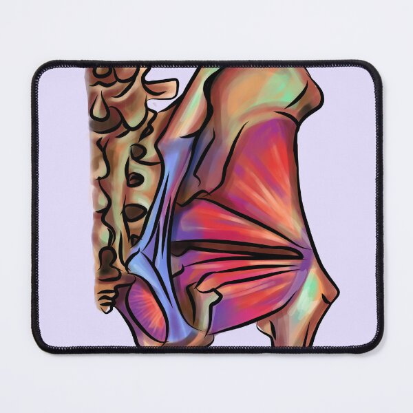Item preview, Pelvis l medical student l med school designed and sold by Bossin.
