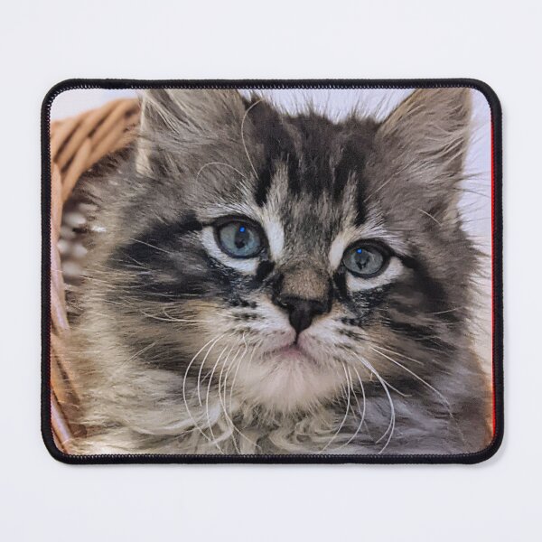 Item preview, Tabby kitten designed and sold by Fluffycat2020.