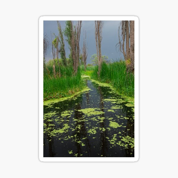 Item preview, Storm Brewing designed and sold by Sue  Cullumber.