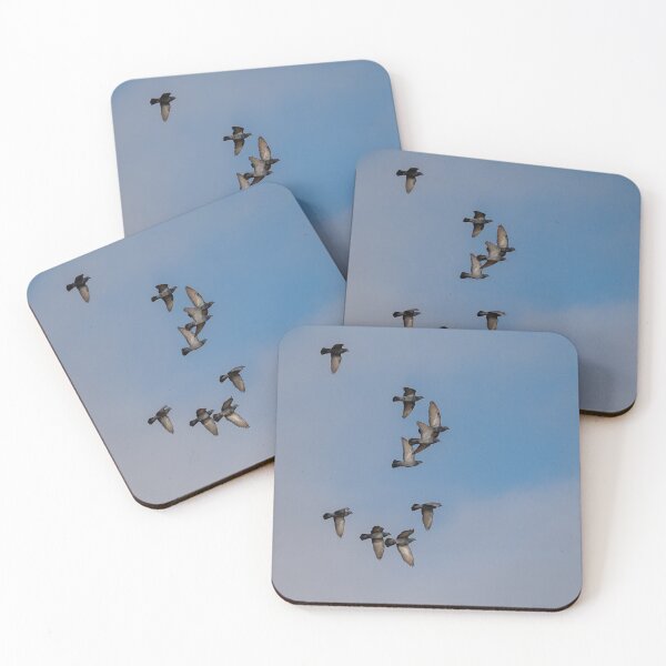 Item preview, Pigeons near Würenlos designed and sold by OskiOnTour.