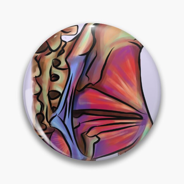Item preview, Pelvis l medical student l med school designed and sold by Bossin.