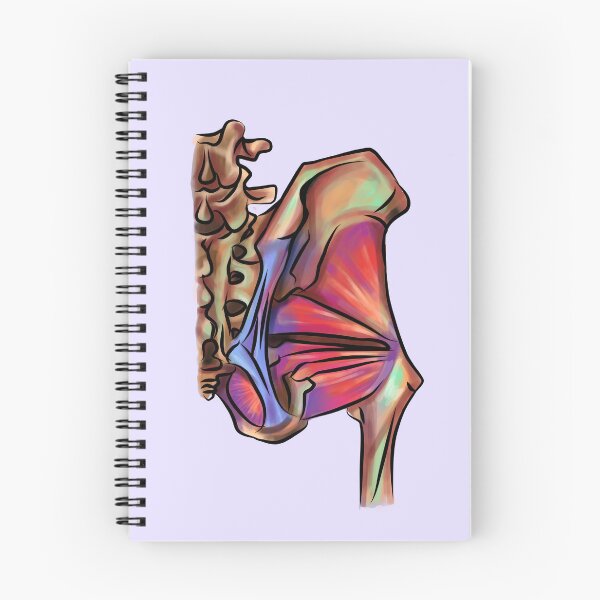Item preview, Pelvis l medical student l med school designed and sold by Bossin.
