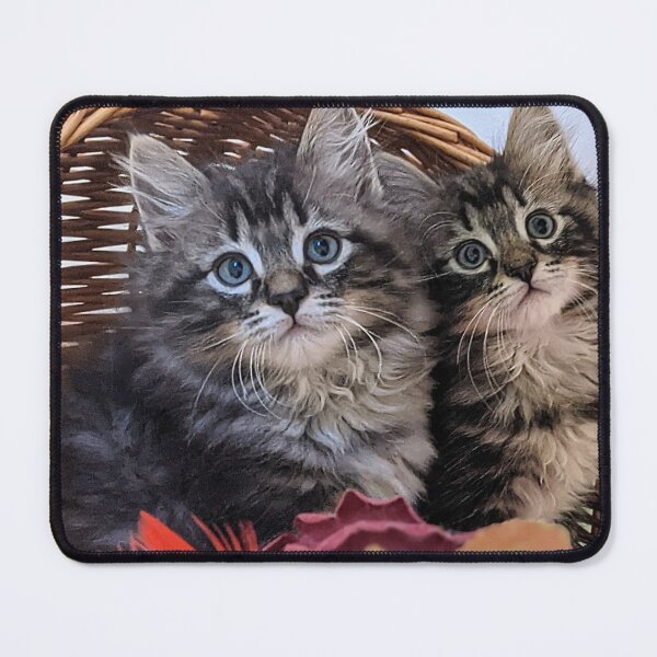 Item preview, Tabby kitten designed and sold by Fluffycat2020.