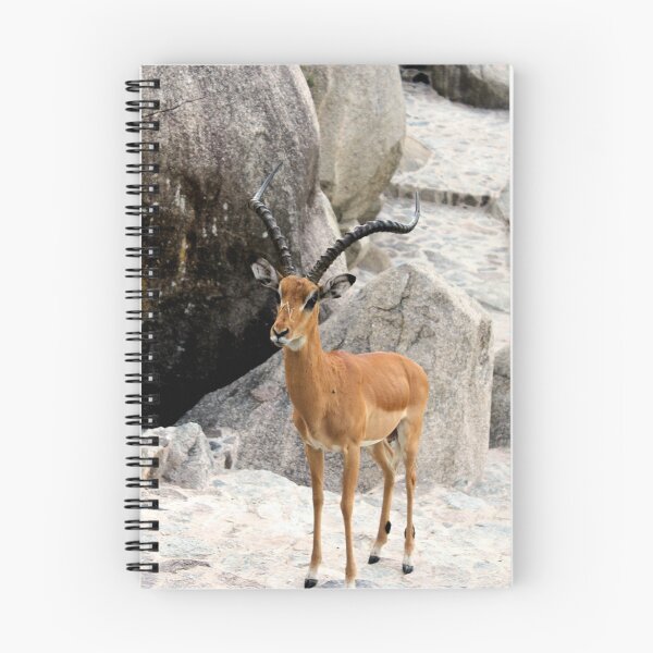 Item preview, Impass with an Impala designed and sold by Jenna-Grieve.