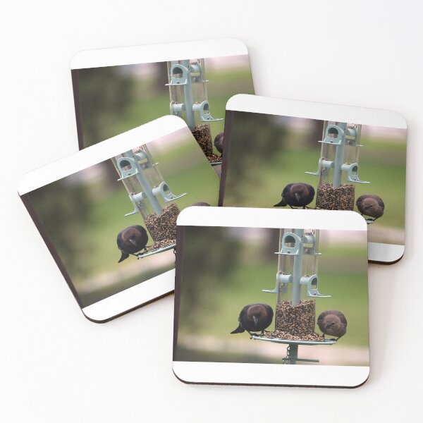 Item preview, Cowbird Date Night designed and sold by MADowdPhotos.