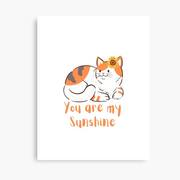 You are my sunshine lyrics sunflower cat meow poster canvas