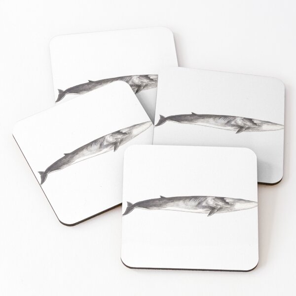 Item preview, Fin whale Balaenoptera physalus designed and sold by chloeyzoard.