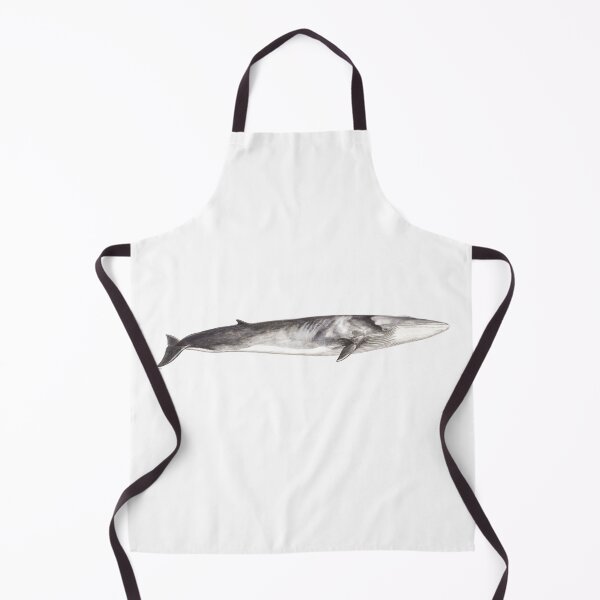 Item preview, Fin whale Balaenoptera physalus designed and sold by chloeyzoard.