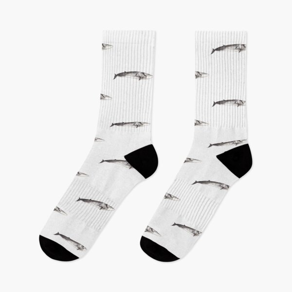 Item preview, Fin whale Balaenoptera physalus designed and sold by chloeyzoard.