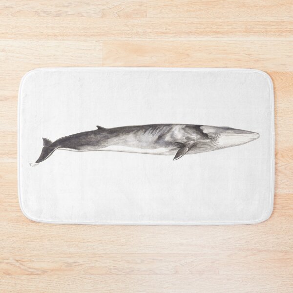 Item preview, Fin whale Balaenoptera physalus designed and sold by chloeyzoard.