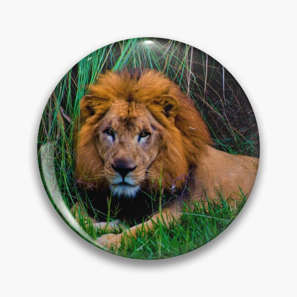 Item preview, Lion King At Ukumari designed and sold by alabca.