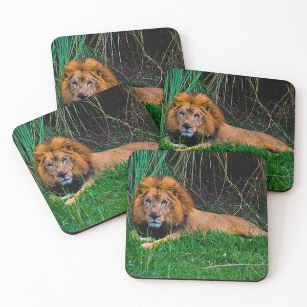 Item preview, Lion King At Ukumari designed and sold by alabca.
