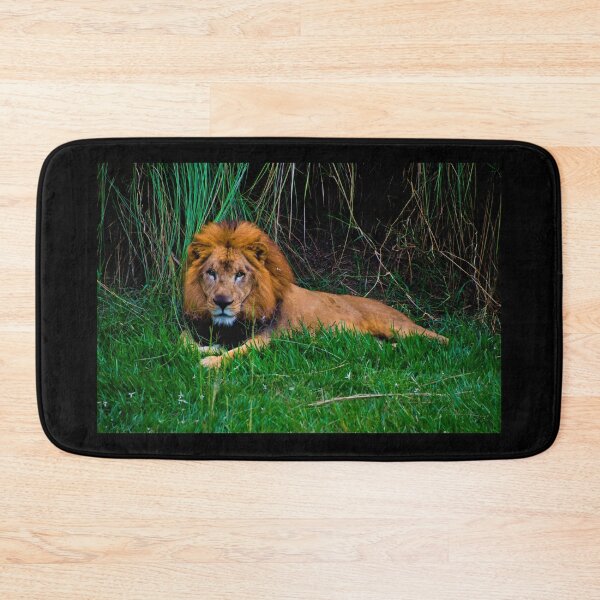 Item preview, Lion King At Ukumari designed and sold by alabca.