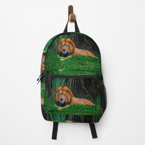 Item preview, Lion King At Ukumari designed and sold by alabca.