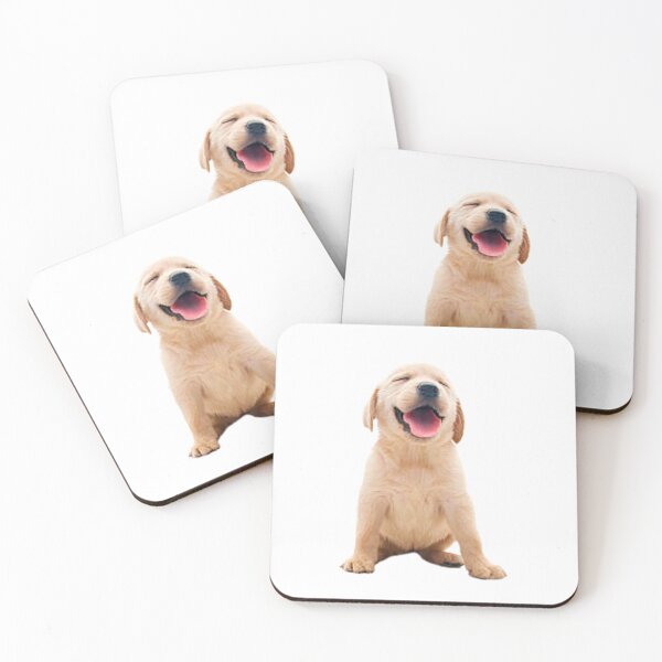 Item preview, Happiness is a day Spent Hiking with My Dog Transparent Sticker designed and sold by petricorstudios.