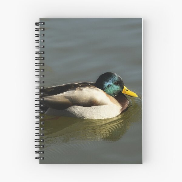Item preview, Mallard Duck designed and sold by rwhooster.