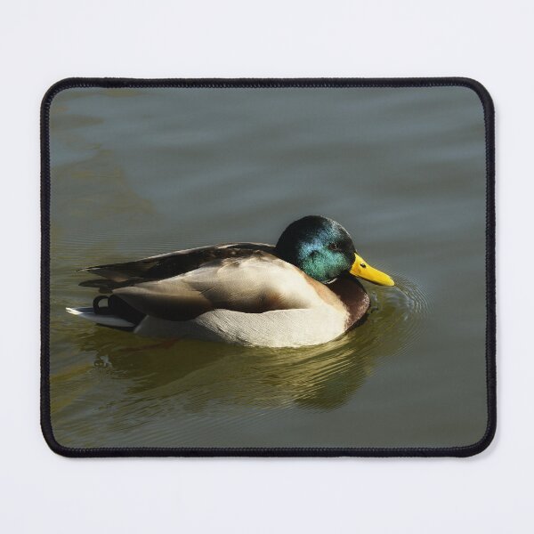 Item preview, Mallard Duck designed and sold by rwhooster.