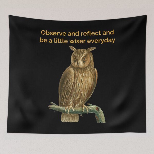 Item preview, Observe and reflect and be a little wiser everyday. Magical Owl designed and sold by Moremon.