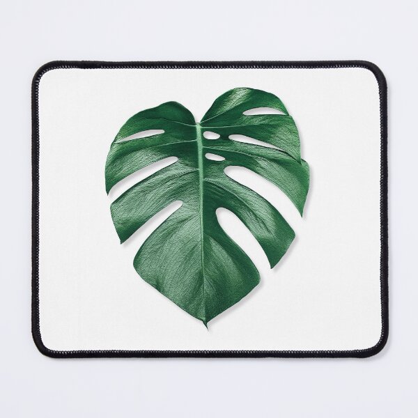 Item preview, MONSTERA LEAF designed and sold by NORDIKART.