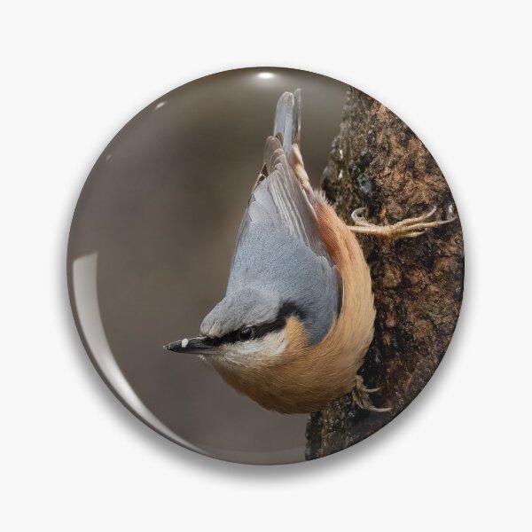 Item preview, Nuthatch Classic Pose designed and sold by JLP ARTWORKS.