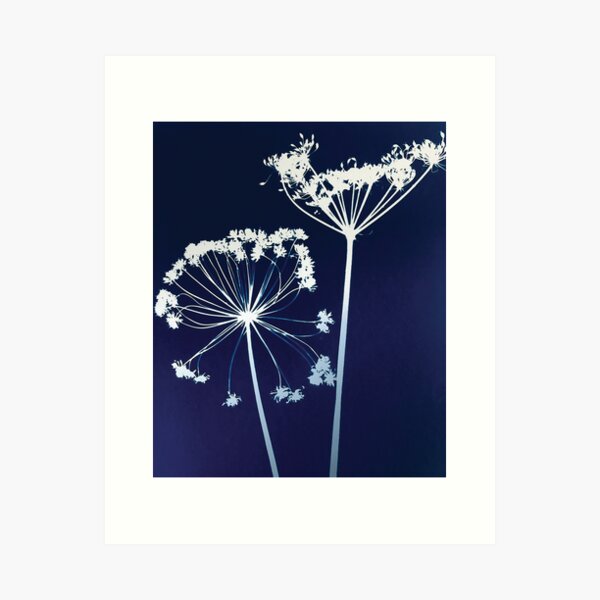 Cornish Hedge Cow Parsley I Art Print