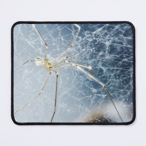 Item preview, Skull Spider 01 designed and sold by Weston Westmoreland.