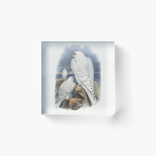 Item preview, White Falcons designed and sold by Dr. Aya.