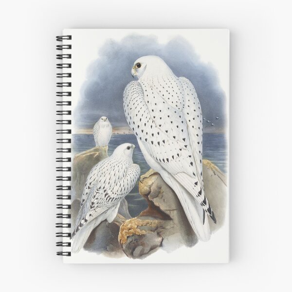 Item preview, White Falcons designed and sold by Dr. Aya.
