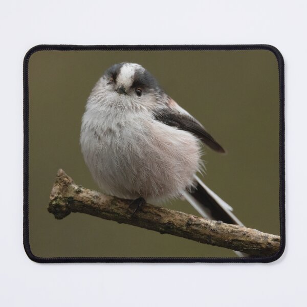 Item preview, Long Tailed Tit designed and sold by JLP ARTWORKS.