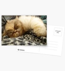 Cuddle Me! Postcards