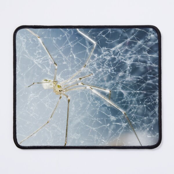 Item preview, Skull Spider 03 designed and sold by Weston Westmoreland.