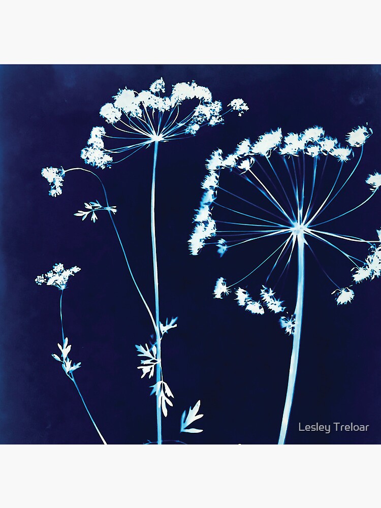 Thumbnail 4 of 4, Clock, Cornish Hedge Cow Parsley II designed and sold by latreloar.