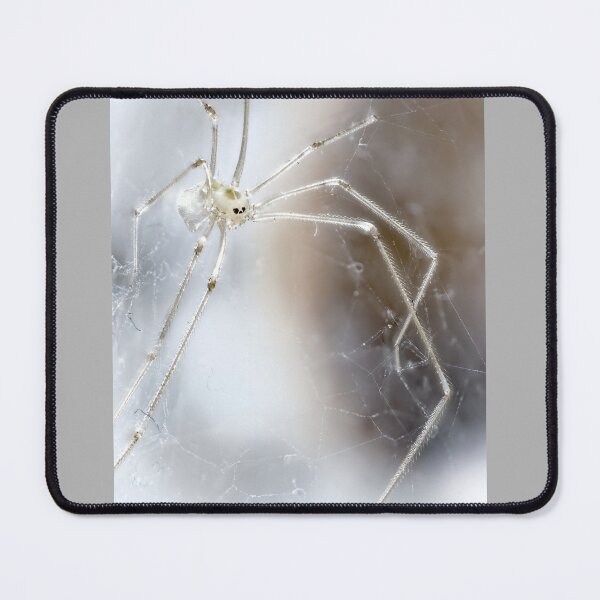 Item preview, Skull Spider 02 designed and sold by Weston Westmoreland.