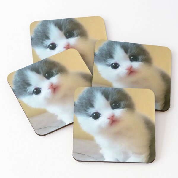 Item preview, the little funny cat stares designed and sold by Shopster381.