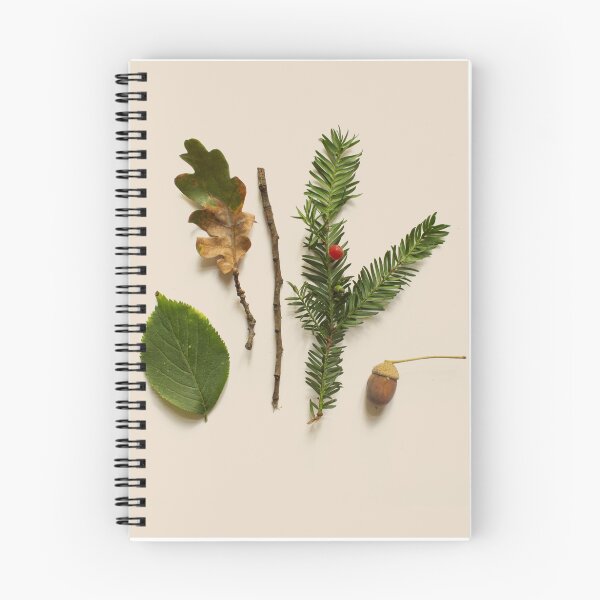 Item preview, COMPOSIZIONE FOGLIE II designed and sold by Elena Veronese.