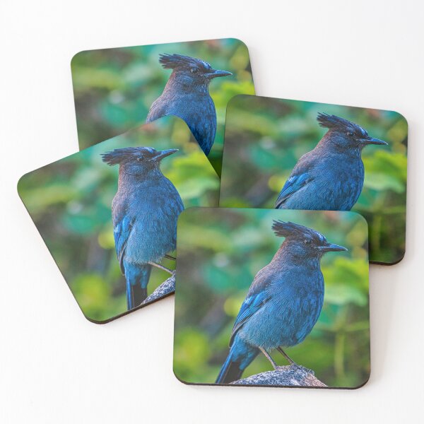 Item preview, Blue Jay Bird Canvas Print, by DAM Creative, designed and sold by DAM Creative ⭐⭐⭐⭐⭐.
