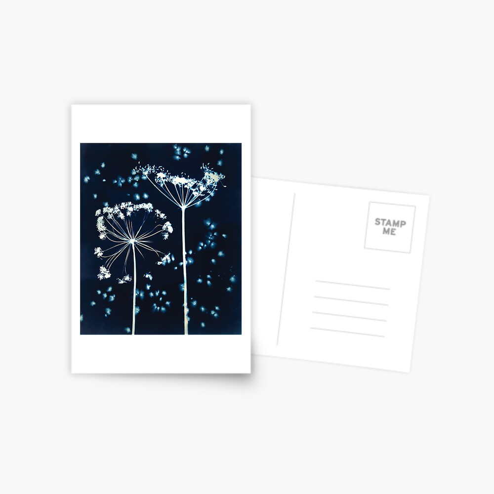 Item preview, Postcard designed and sold by latreloar.