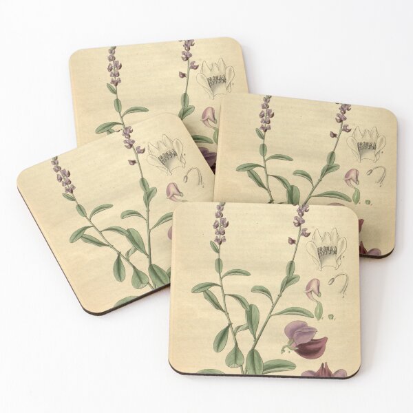Item preview, Curtis's botanical magazine (Plate 3122) (8411520772) designed and sold by EsotericBotanic.