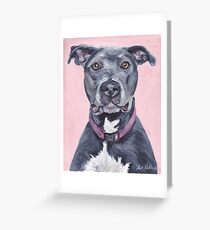 Pit Bull Dog Art Greeting Card