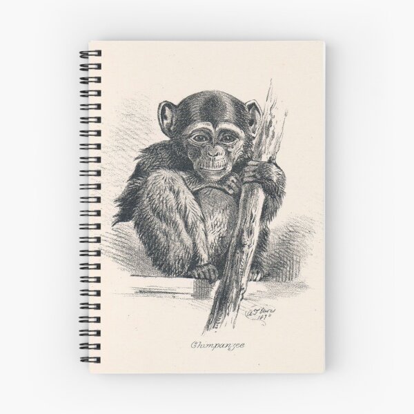Item preview, painted chimpanzee designed and sold by Happyfirst.