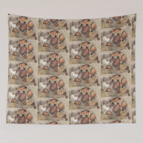 Item preview,  Iron Oxidation in Sandstone designed and sold by Red Wolf.