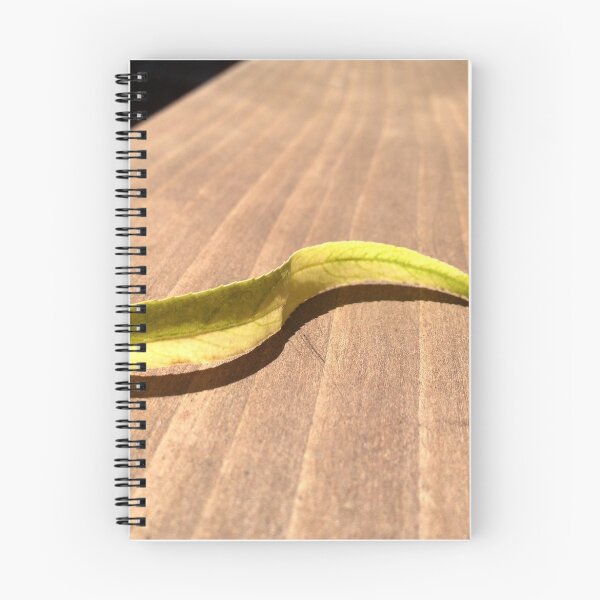 Item preview, An S-Curved Leaf with Triangles designed and sold by Wernher Krutein.